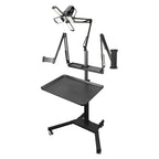 TAIDU PROMOTION MULTI-FUNCTIONAL DOUBLE HOLDER TATTOO BENCH WITH LIGHT